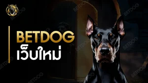 BETDOG เว็บใหม่