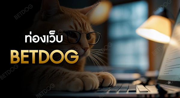 betdog net