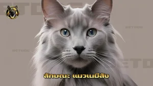 ลักษณะ แมวเนบีลัง