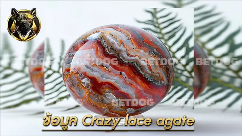 ข้อมูล Crazy lace agate