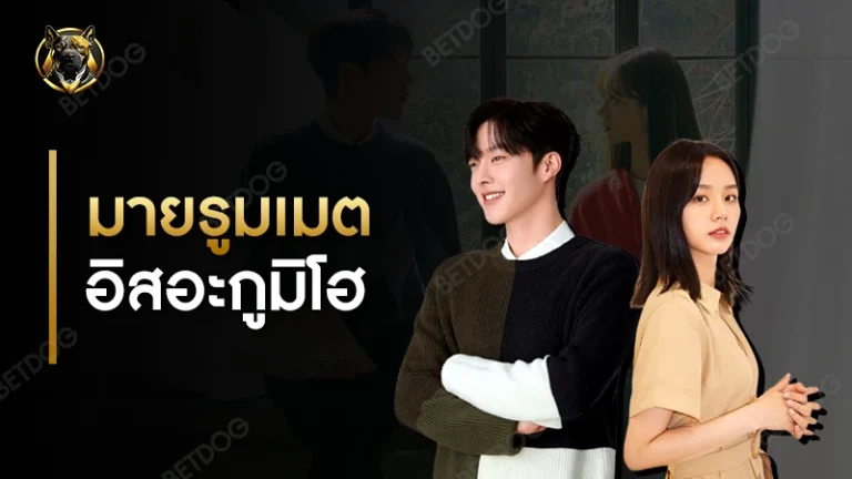 มายรูมเมต อิสอะกูมิโฮ