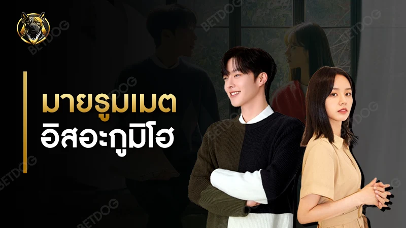 มายรูมเมต อิสอะกูมิโฮ