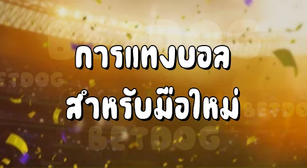 แทงบอลยังไง