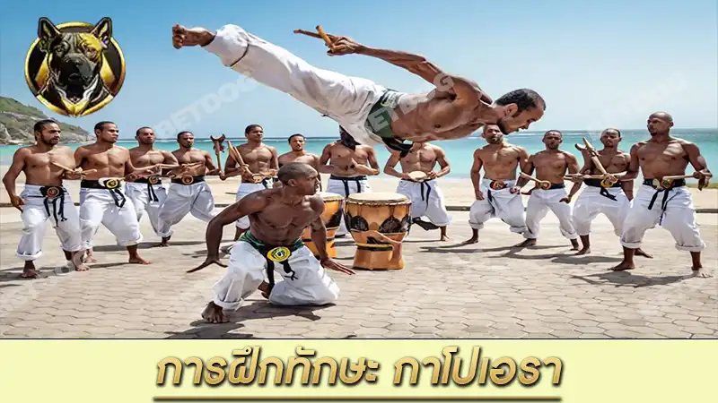 การฝึกทักษะ กาโปเอรา