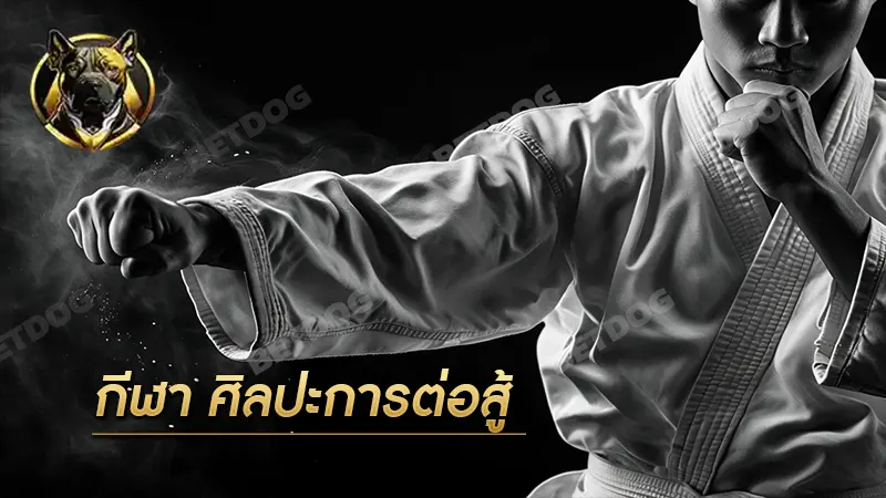 กีฬา ศิลปะการต่อสู้