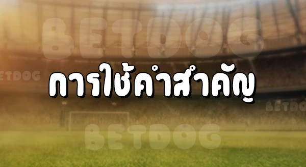 ทางเข้า Sbobet มือถือ 777