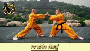 เจาะลึก กังฟู