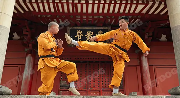 เจาะลึก กังฟู