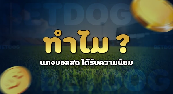 แทงบอล คือ