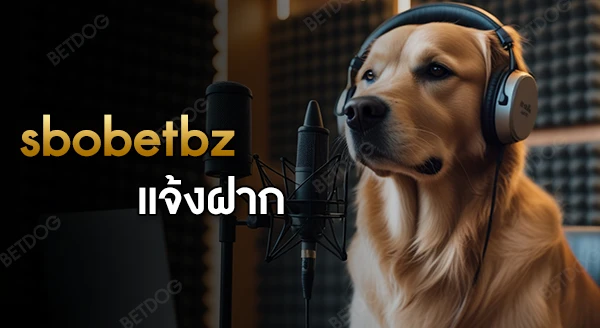 sbobet bz แจ้งฝาก