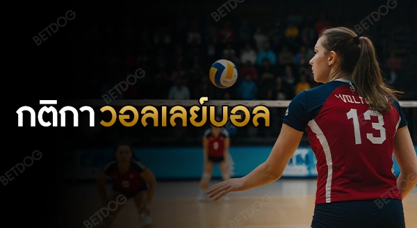 กติกา วอลเลย์บอล