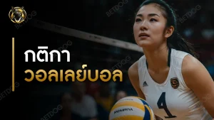 กติกา วอลเลย์บอล
