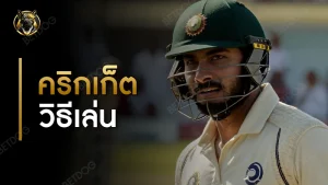 คริกเก็ต วิธีเล่น