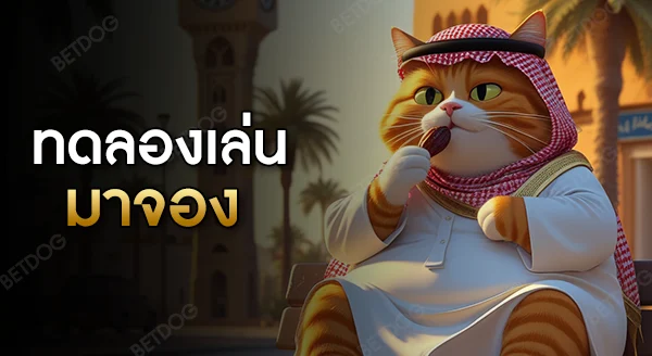 ทดลอง เล่น มาจอง