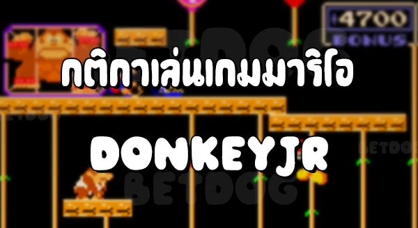 รีวิวมาริโอ Donkey Jr