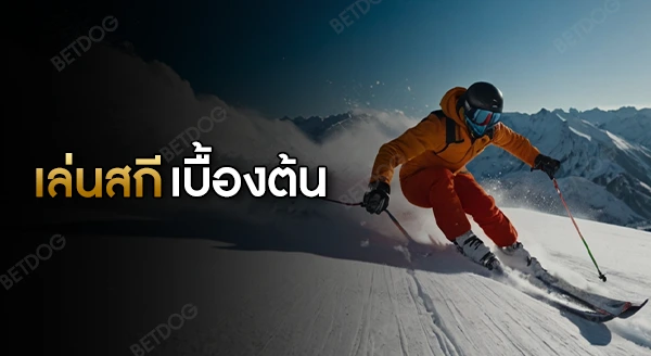การเล่นสกี เบื้องต้น