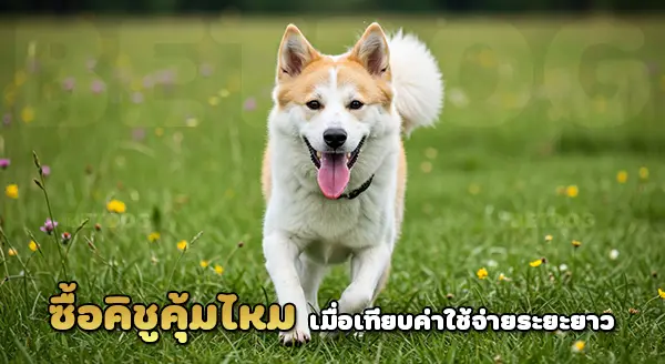 คิชูอินุ ราคาเท่าไร