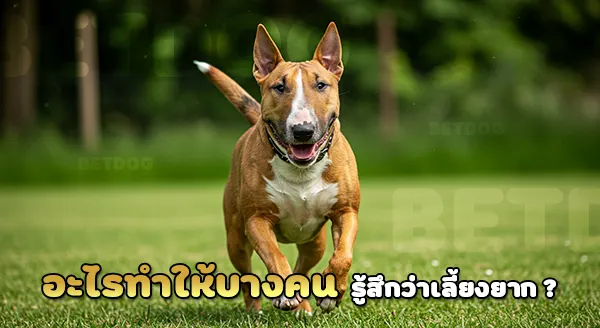 บูลเทอร์เรีย ฉลาดแค่ไหน