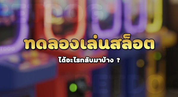 ทดลองเล่นสล็อตโรม่าฟรี joker