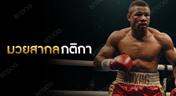 มวยสากล กติกา