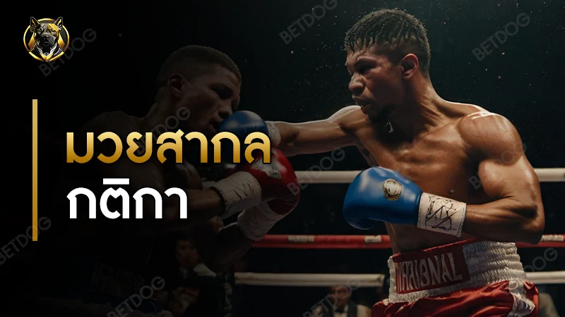 มวยสากล กติกา