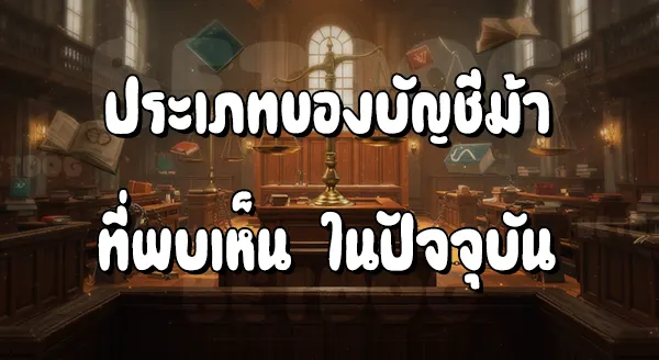 บัญชีม้า แบ่งเป็นกี่ประเภท