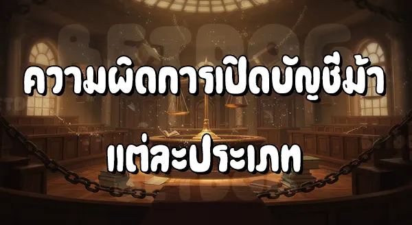 บัญชีม้า แบ่งเป็นกี่ประเภท