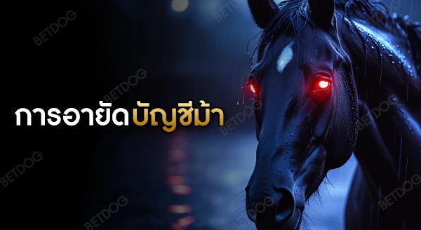 บัญชีแบบไหน เข้าข่ายบัญชีม้า