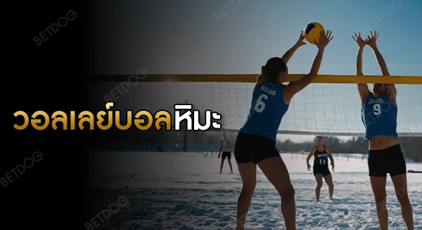 วอลเลย์บอลหิมะ กติกา