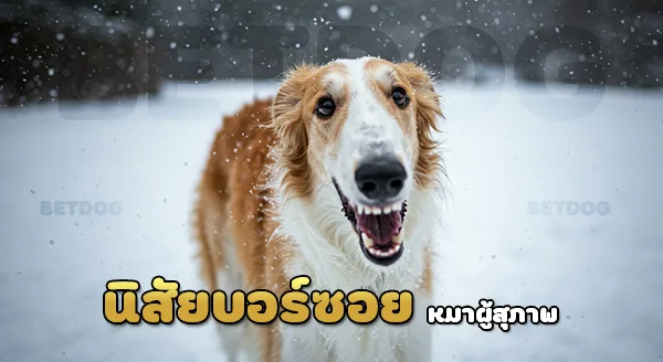 ลักษณะ สุนัขบอร์ซอย