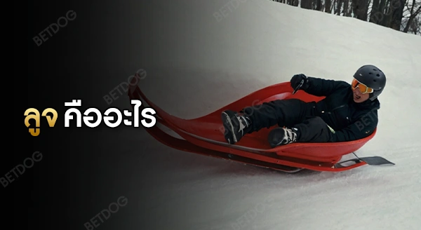 ลูจ คืออะไร