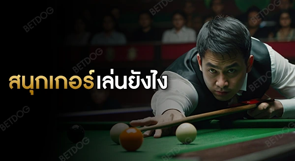 สนุกเกอร์ เล่นยังไง